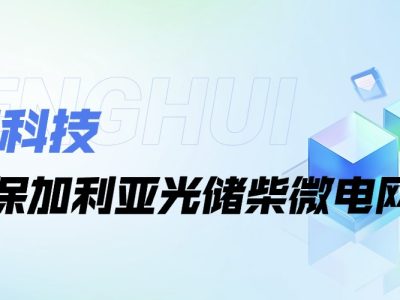 能辉科技成功签约保加利亚光储柴微电网项目